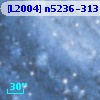 [L2004] n5236-313