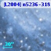 [L2004] n5236-318