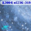 [L2004] n5236-319