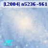 [L2004] n5236-861