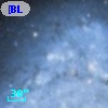 [BL2004b] O30