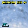 [BL2004b] SNR 44