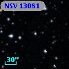 NSV 13081