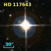HD 117643