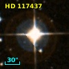 HD 117437