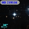 HD 239516