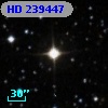 HD 239447