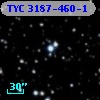 TYC 3187-460-1