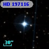HD 197116