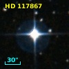 HD 117867