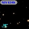 NSV  6349