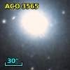 ACO  3565