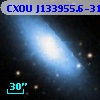 CXOU J133955.6-313831