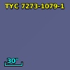 TYC 7273-1079-1