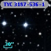 TYC 3187-536-1