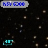 NSV  6300
