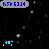 NSV  6314