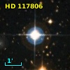 HD 117806