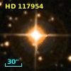 HD 117954