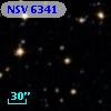 NSV  6341