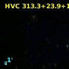HVC 313.3+23.9+113