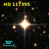 HD 117395
