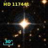 HD 117441