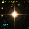HD 117917