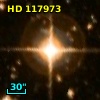 HD 117973