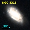 NGC  5313