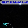 FIRST J134446.1+402952