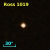 LHS  6261