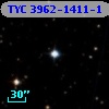 TYC 3962-1411-1