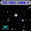 TYC 3962-1480-1