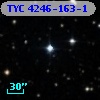 TYC 4246-163-1