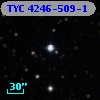 TYC 4246-509-1