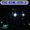 TYC 4246-879-1