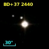 BD+37  2440