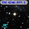 TYC 4246-977-1