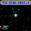 TYC 4246-1037-1