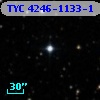 TYC 4246-1133-1