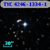 TYC 4246-1334-1