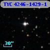 TYC 4246-1429-1
