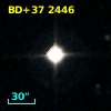BD+37  2446