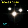 BD+37  2448