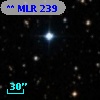 ** MLR   239