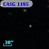 CASG 1185
