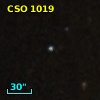 CSO 1019