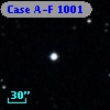 Case A-F 1001