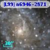 [L99] n6946-2871